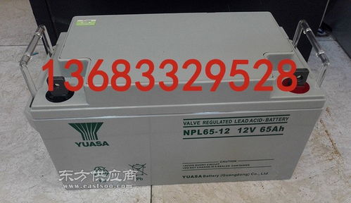 汤浅NPL65 12蓄电池参数 12V65AH蓄电池特价直销图片