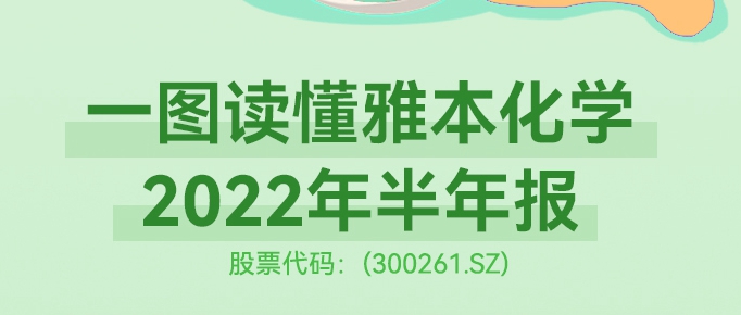 一图读懂z6人生就是博化学2022年半年报